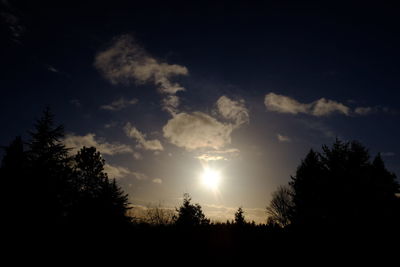 Silhouette of trees at sunset