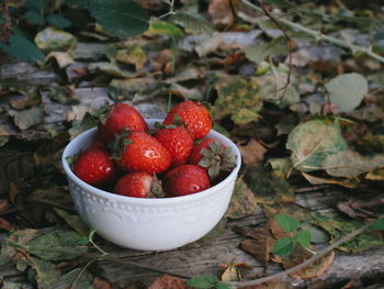 Close-up of strawberries in bowl on field