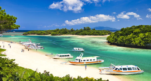 Beautiful coral reaf sea of kabira bay