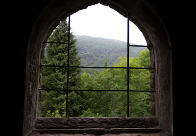 View of trees on landscape