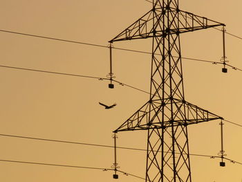 Low angle view of silhouette birds on electricity pylon against sky