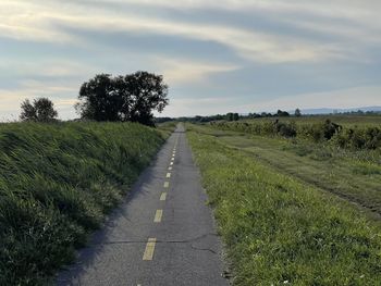 Road by trees on field against sky