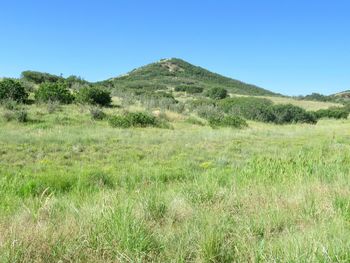 Scenic view of field against clear blue sky