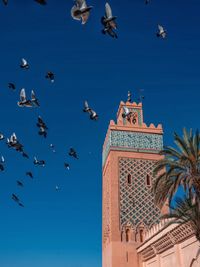 Low angle view of birds flying against blue sky