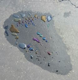 High angle view of crab on sand