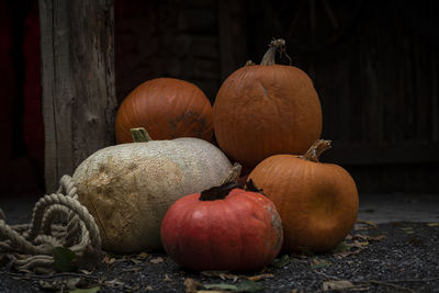 Close-up of pumpkins