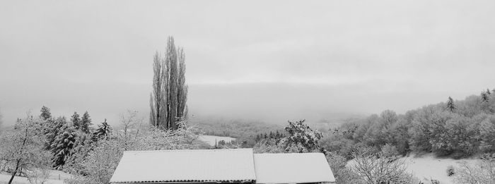 Trees on snow covered land against sky