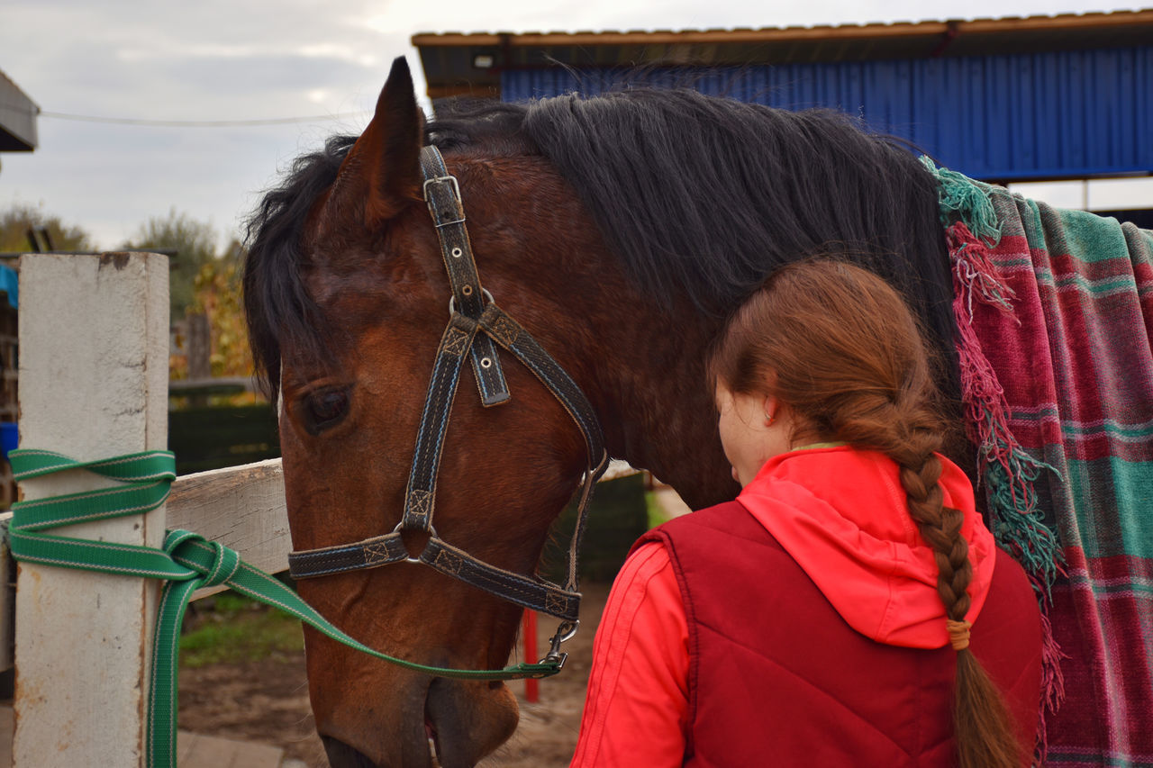 horse, domestic animals, animal, animal themes, mammal, livestock, animal wildlife, pet, one animal, women, child, childhood, female, working animal, nature, one person, adult, herbivorous, day, brown, hairstyle, jockey, bridle, waist up, outdoors, standing, sky, long hair, animal body part, activity