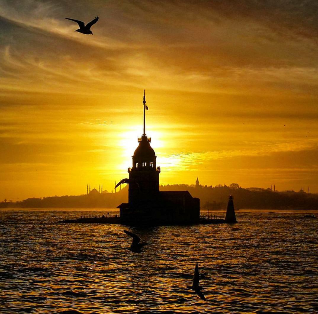 bird, sunset, animal themes, water, flying, animals in the wild, sea, wildlife, sky, silhouette, one animal, waterfront, orange color, scenics, horizon over water, beauty in nature, cloud - sky, nature, tranquility, tranquil scene