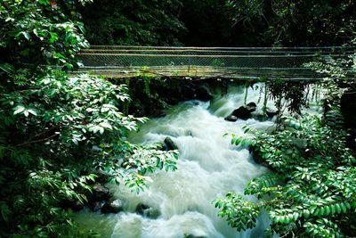 Scenic view of waterfall