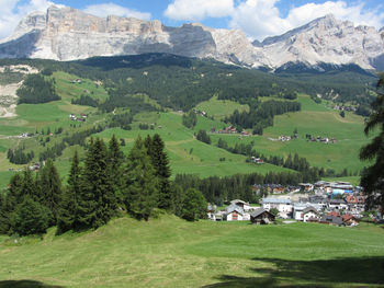 Alpine landscape with la villa village, green pastures and firs against italian dolomites at summer
