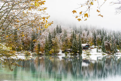 Scenic view of lake in forest against sky