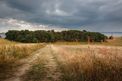 Trees on field against sky