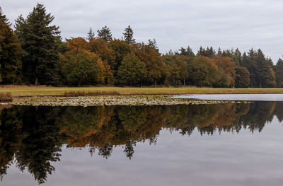 Reflection of trees in lake against sky during autumn