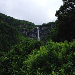 Scenic view of waterfall in forest against sky