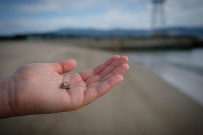 Cropped image of hand holding small shell
