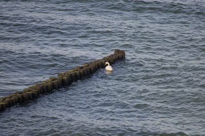 High angle view of flowing in sea