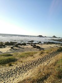 Scenic view of sea against clear sky