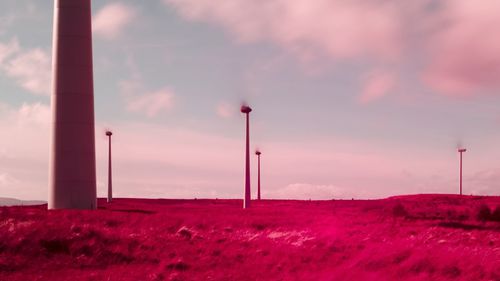 Street light on field against sky during sunset