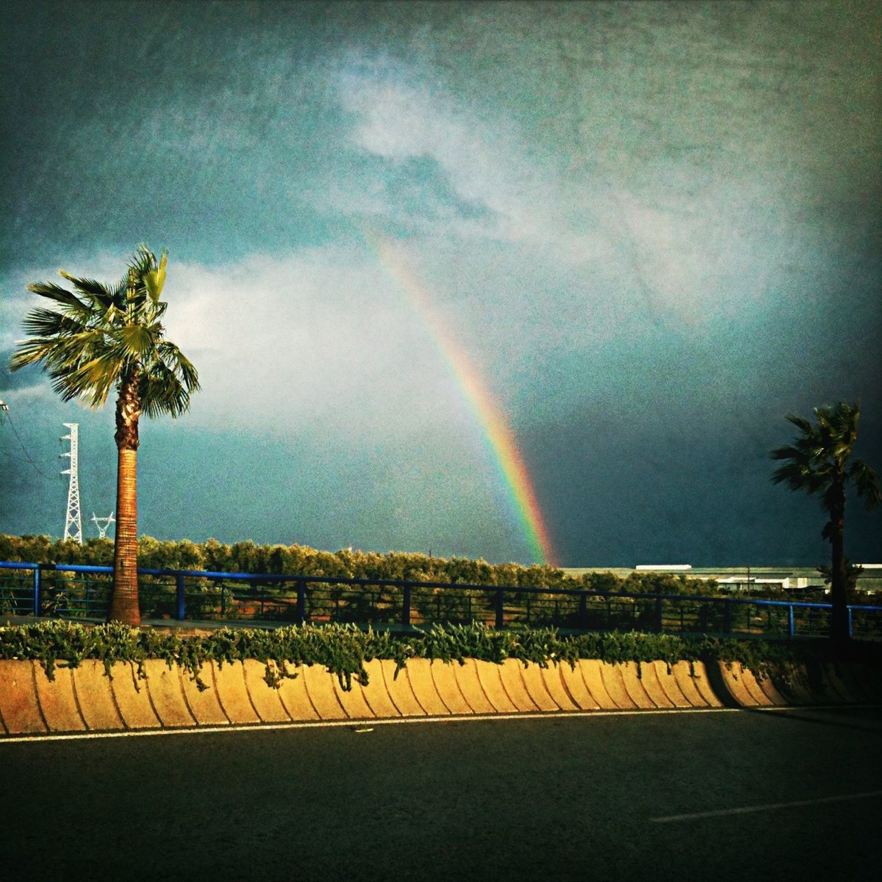 palm tree, sky, tree, rainbow, cloud - sky, road, multi colored, nature, scenics, beauty in nature, cloud, tranquility, cloudy, outdoors, street, tranquil scene, landscape, transportation, growth, no people