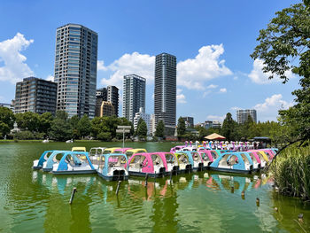 Tranquility in the metropolis ueno district lake and pedal boat, tokyo, japan