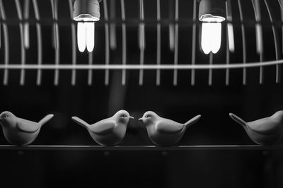 Illuminated energy efficient lightbulb above bird figurines at night