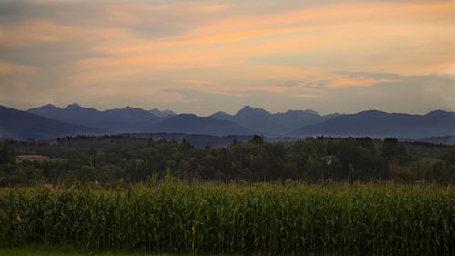 Scenic view of landscape against sky