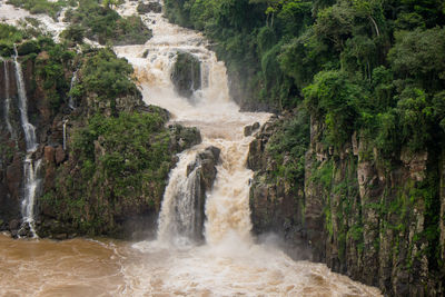 Scenic view of waterfall in forest