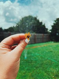 Close-up of hand holding flower