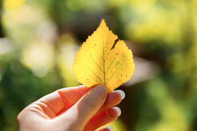 yellow