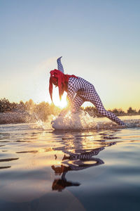 View of clown in lake against sky during sunset