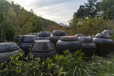 Stack of pots on field against trees