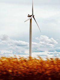 environmental conservation