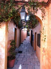 Narrow alley along buildings