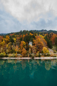 Scenic view of lake by trees against sky