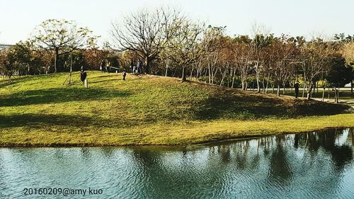 Scenic view of grassy field