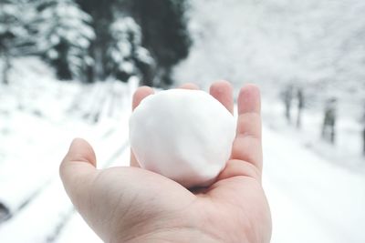 Cropped hand with snowball during winter