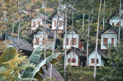 Abandoned house by trees in forest