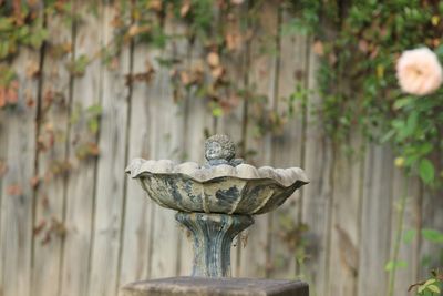 Close-up of statue against blurred background