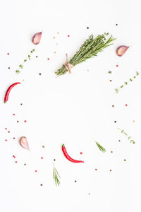 High angle view of berries on white background