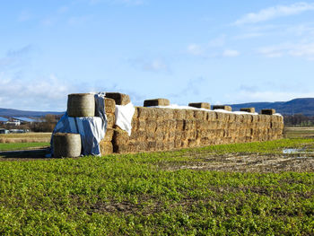 Hay bales on field against sky