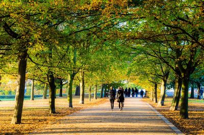 Rear view of people walking on road at park in autumn