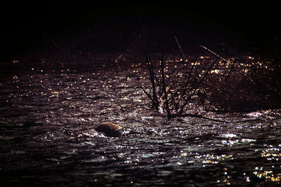 Scenic view of river at night