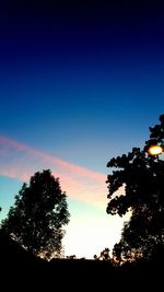 Low angle view of silhouette trees against sky