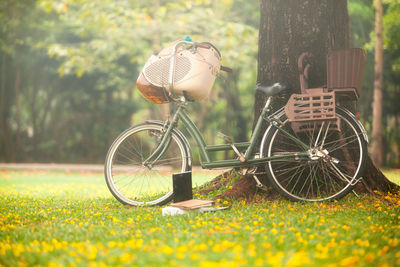 Bicycle parked by tree on field