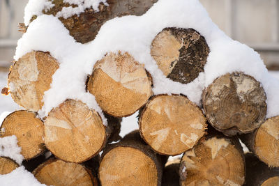 Stack of logs in snow