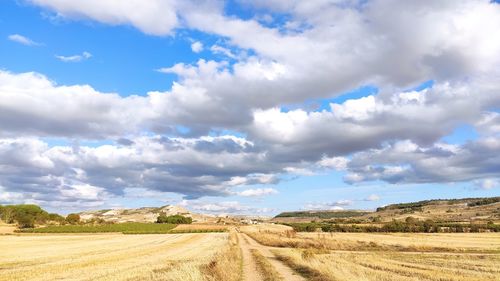 Scenic view of agricultural field against sky
