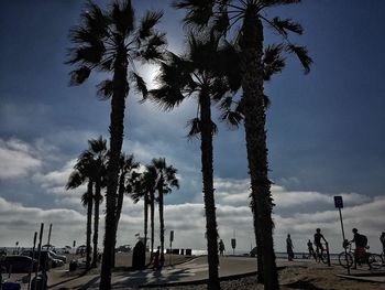 Low angle view of trees