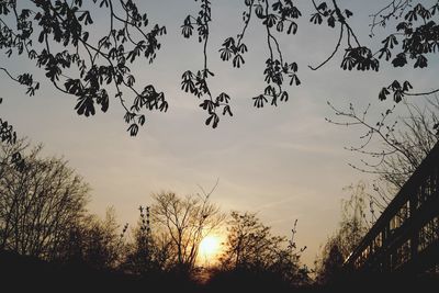 Low angle view of silhouette trees against sky during sunset