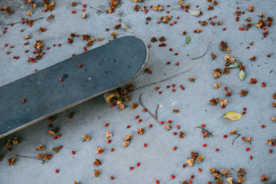 High angle view of skateboard on street